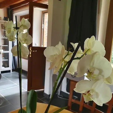 Holiday home Le De Paul